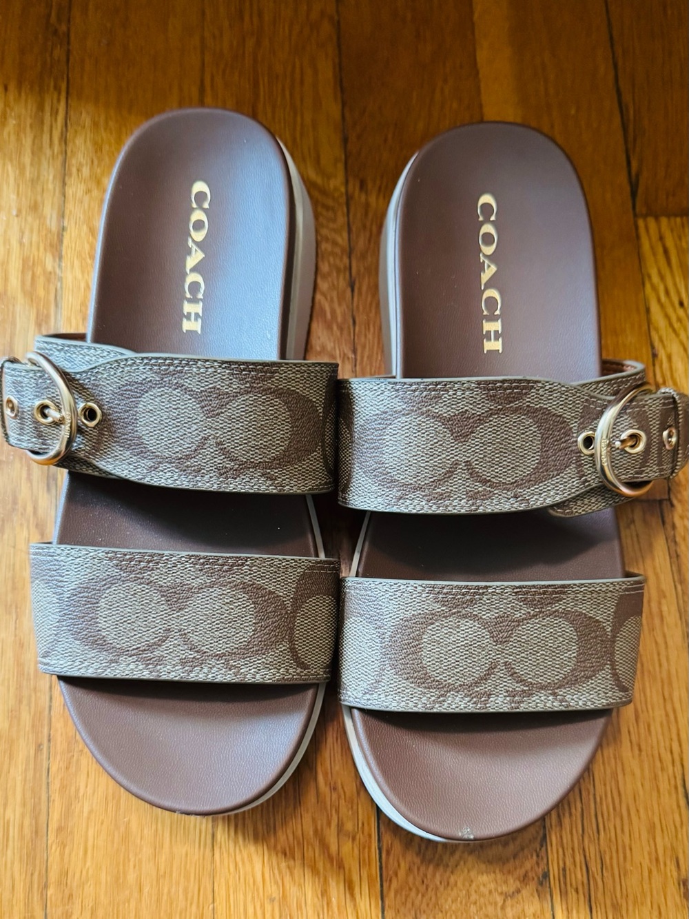 COACH Gwen Khaki Signature Sandal